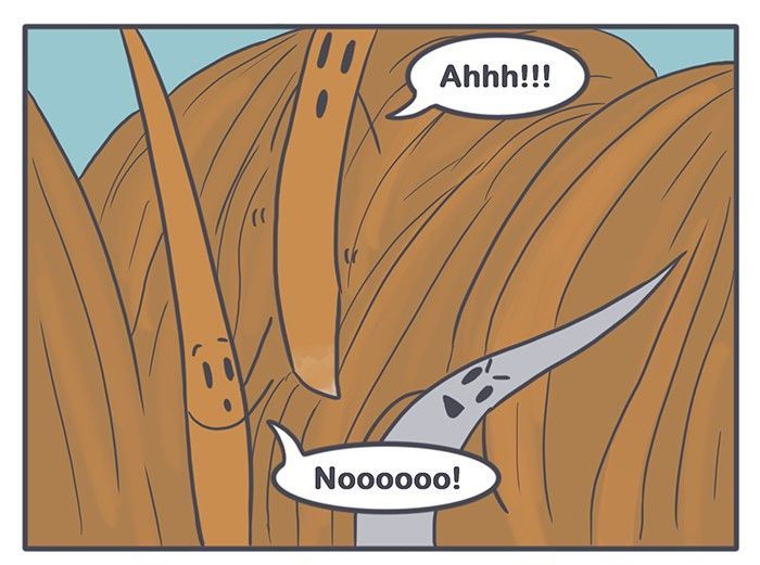 Nicholalala Chapter 99 page 12 - Chapter 99