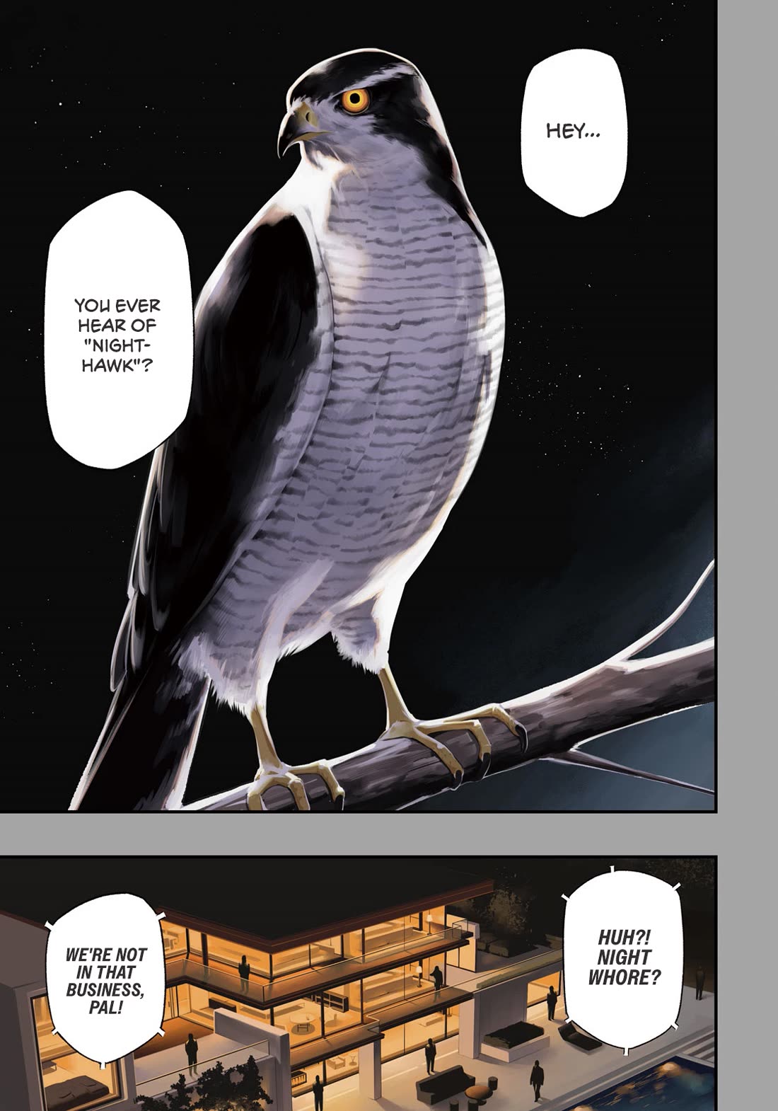 Nighthawk Returns Chapter 1 page 1 - Chapter 1: Nighthawk Returns(?)