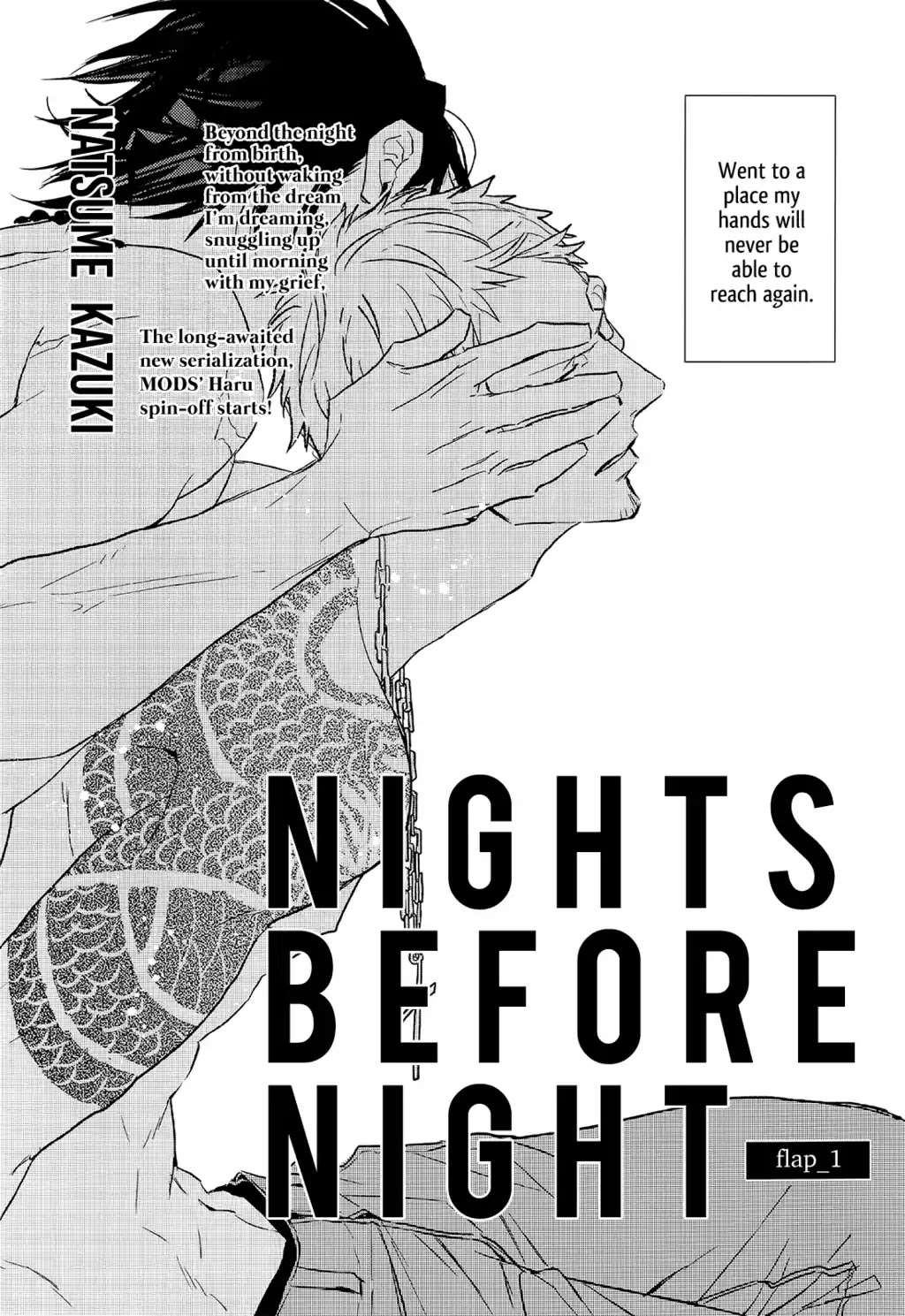 Nights Before Night Chapter 1 page 12 - Chapter 1