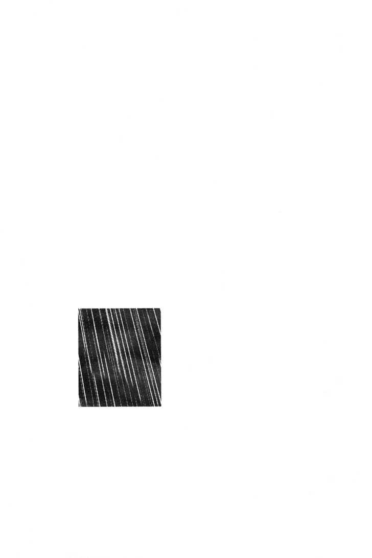 Nijigahara Holograph Chapter 0.1 page 18 - Chapter 0.1 : Prologue
