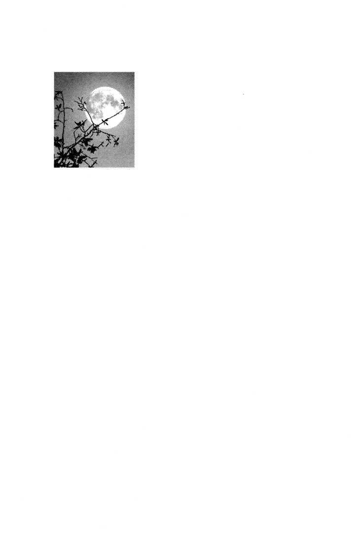 Nijigahara Holograph Chapter 2 page 24 - Chapter 2