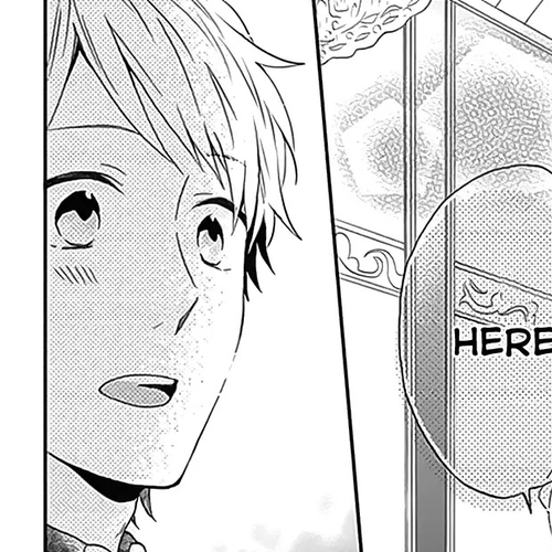 Nijiiro Days (MIZUNO Minami) Chapter 26.5: Annderella cover
