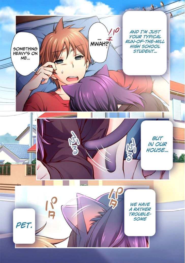 Niku Kyu! Chapter 1 page 7 - Chapter 1 : Your Wife!