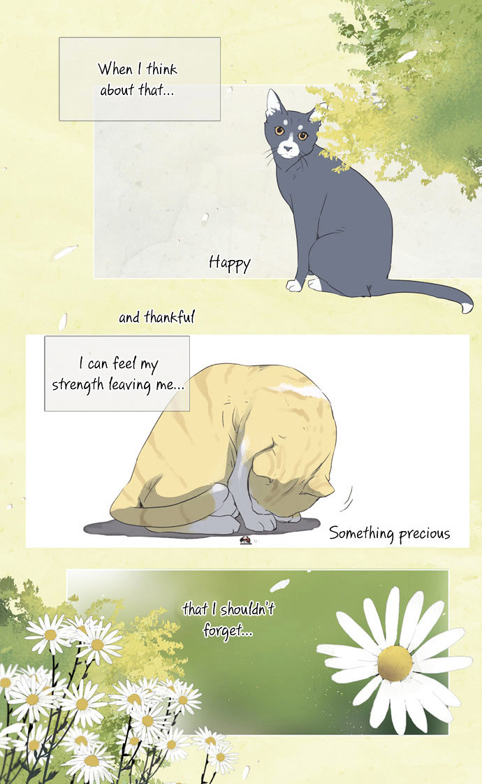 Nineteen, Twenty-One Chapter 14 page 15 - Chapter 14 : Siberian Chrysanthemum