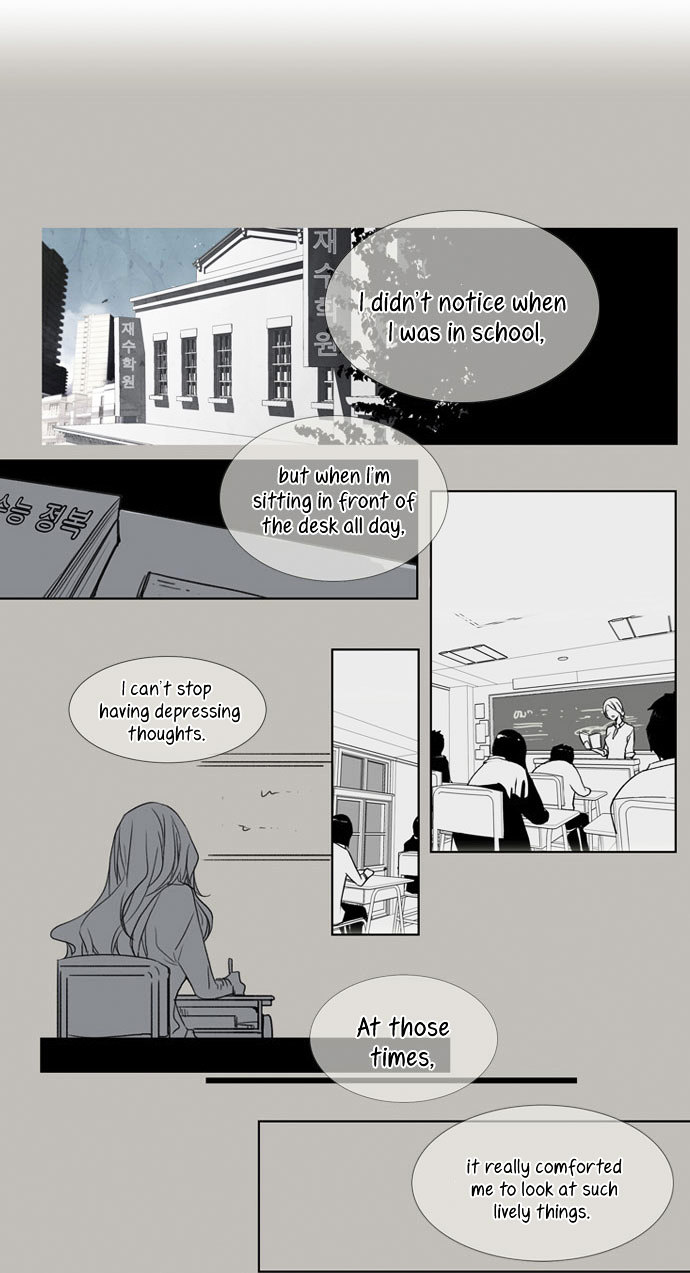 Nineteen, Twenty-One Chapter 14 page 20 - Chapter 14 : Siberian Chrysanthemum