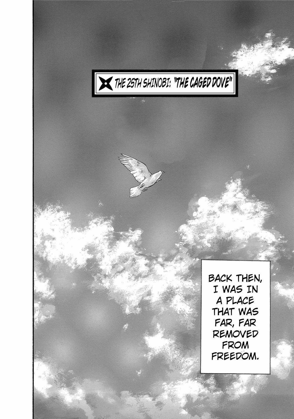 Ninja Papa Chapter 25 page 4 - Chapter 25: The Caged Dove