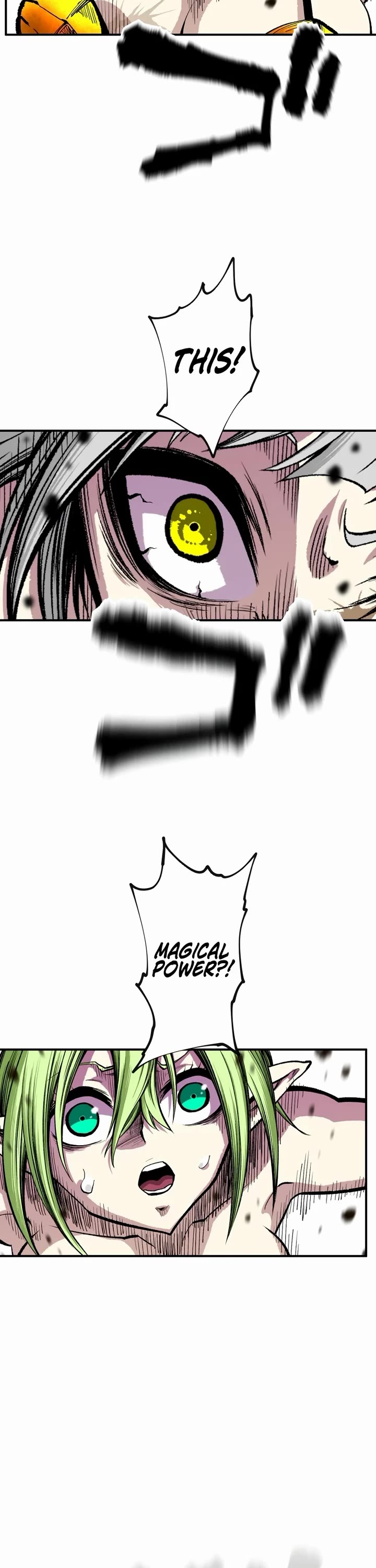 Ninja Reincarnation: Fuuma Kotarou's Quest to Reclaim His Humanity Chapter 13 page 17 - Chapter 13
