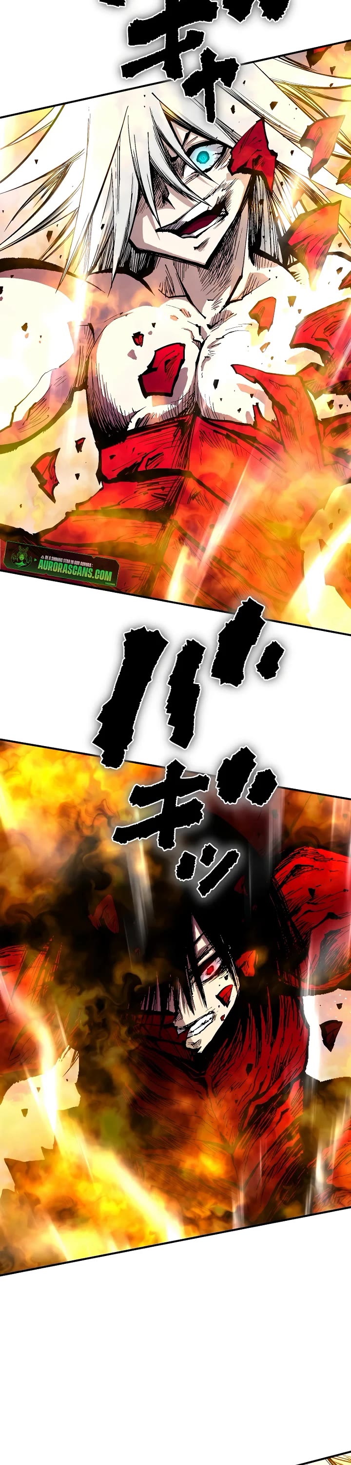 Ninja Reincarnation: Fuuma Kotarou's Quest to Reclaim His Humanity Chapter 39 page 28 - Chapter 39