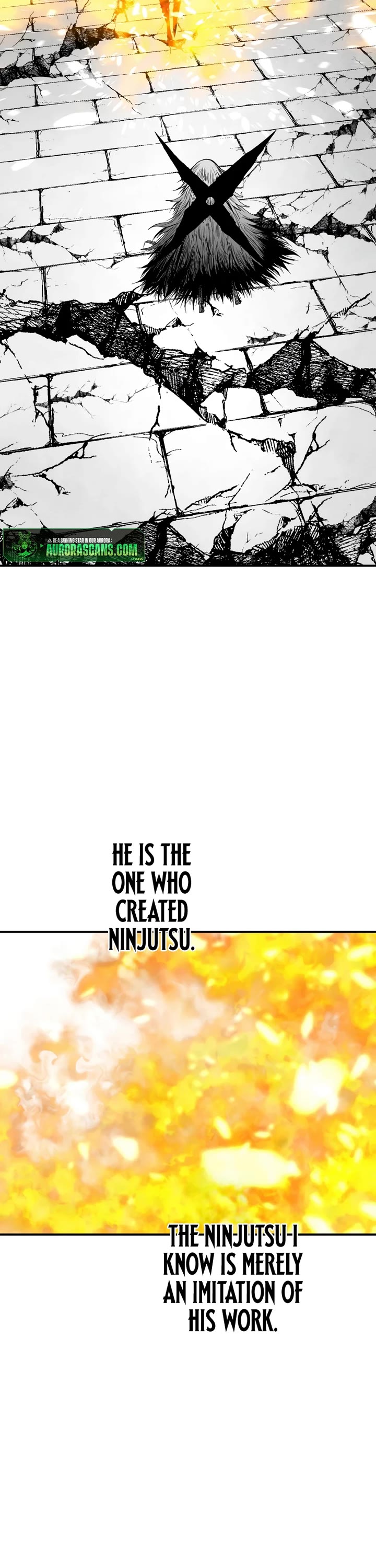 Ninja Reincarnation: Fuuma Kotarou's Quest to Reclaim His Humanity Chapter 43 page 12 - Chapter 43