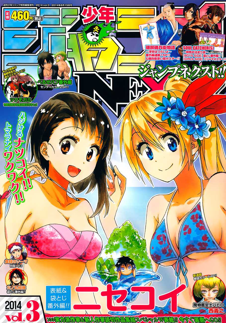 Nisekoi Chapter 133.1 page 2 - Chapter 133.1