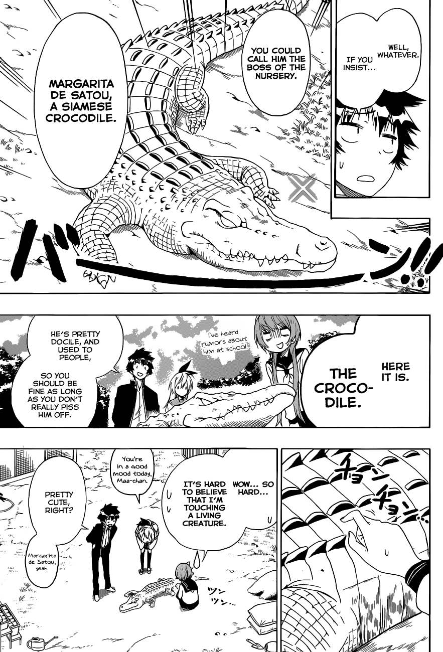 Nisekoi Chapter 142 page 12 - Chapter 142: Animal
