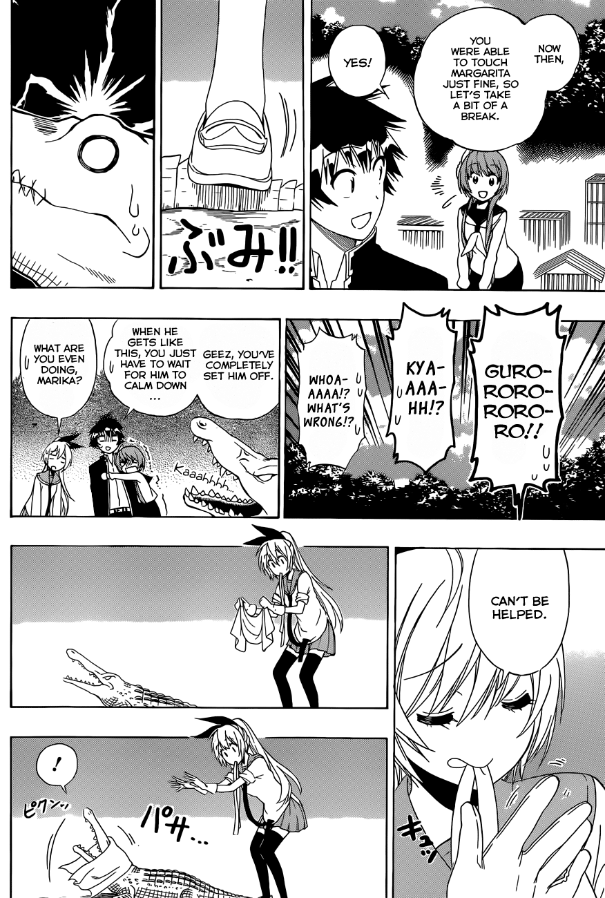 Nisekoi Chapter 142 page 13 - Chapter 142: Animal