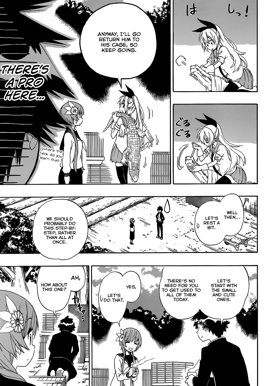 Nisekoi Chapter 142 page 14 - Chapter 142: Animal