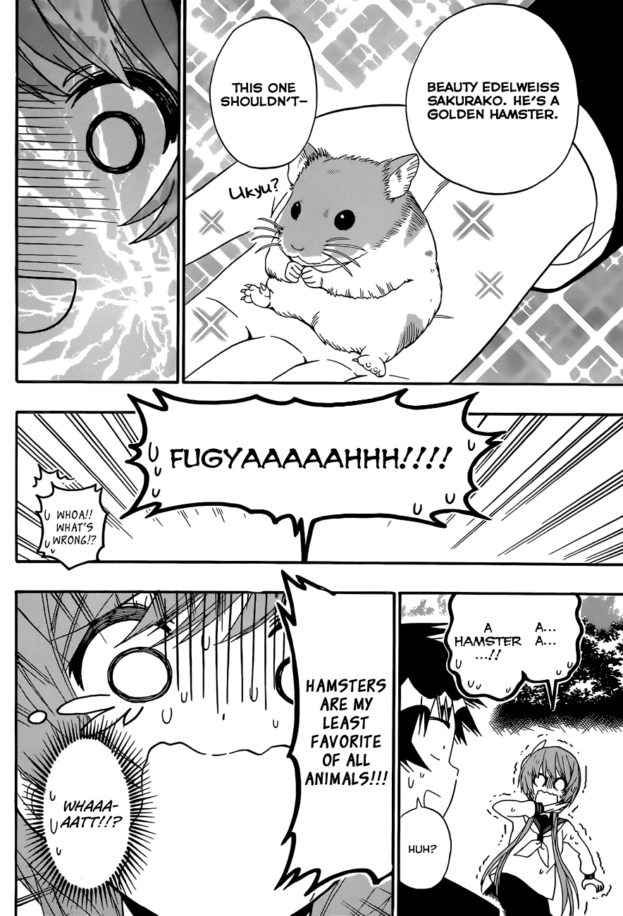 Nisekoi Chapter 142 page 15 - Chapter 142: Animal