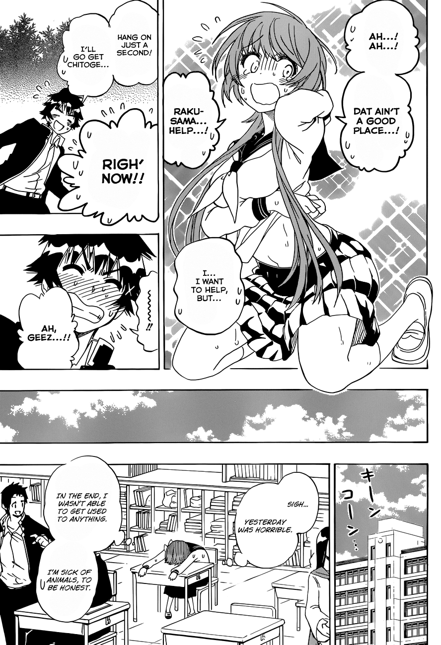 Nisekoi Chapter 142 page 18 - Chapter 142: Animal