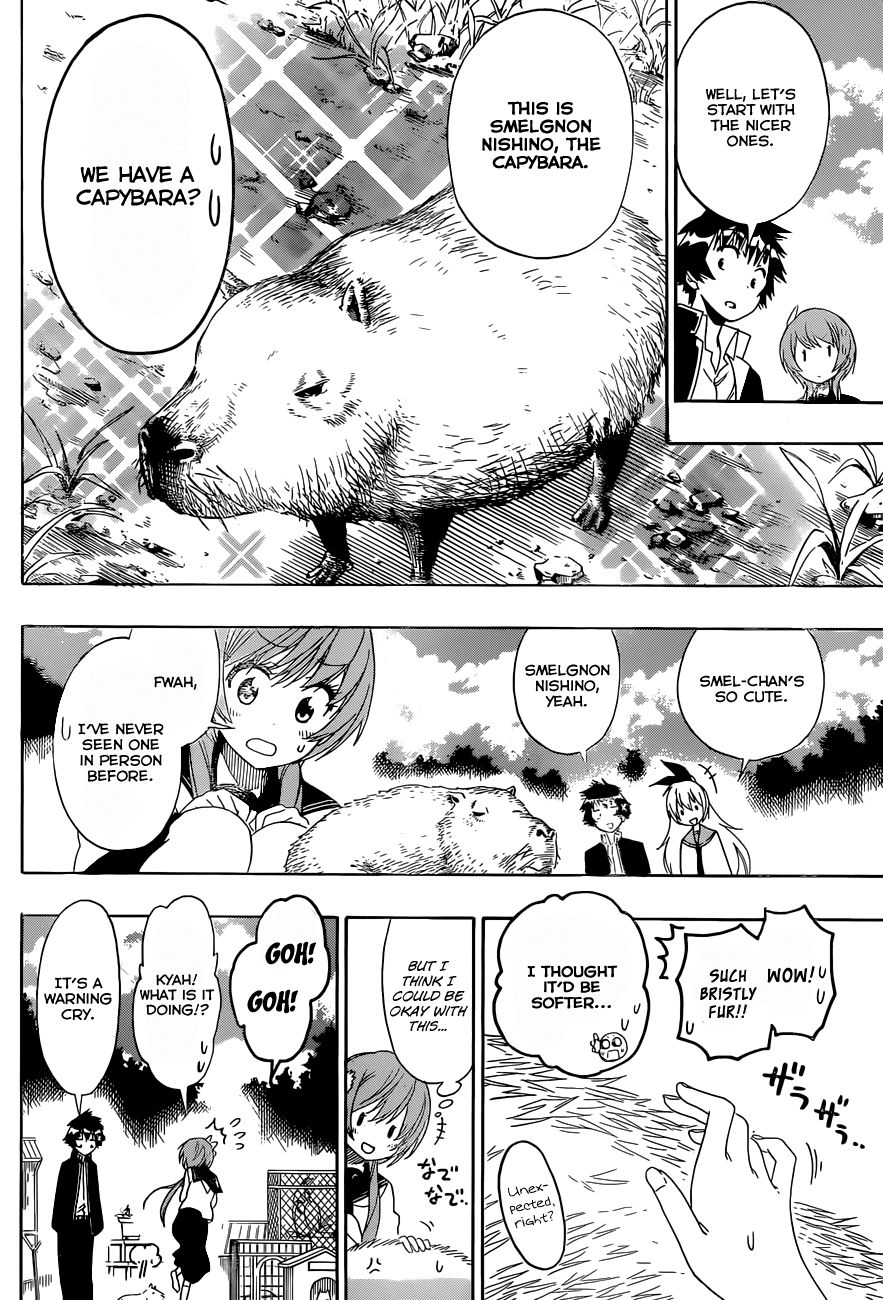 Nisekoi Chapter 142 page 7 - Chapter 142: Animal