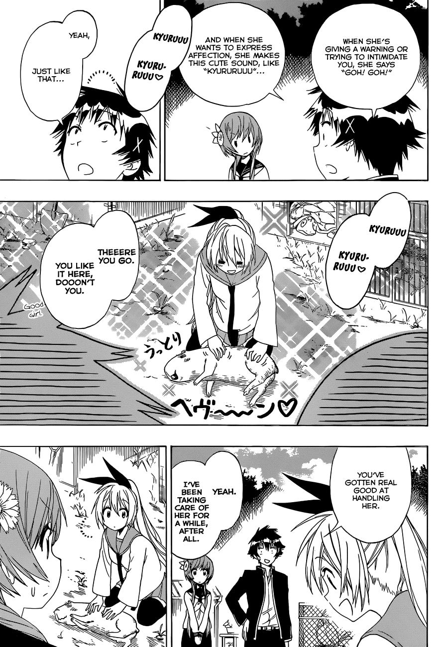 Nisekoi Chapter 142 page 8 - Chapter 142: Animal