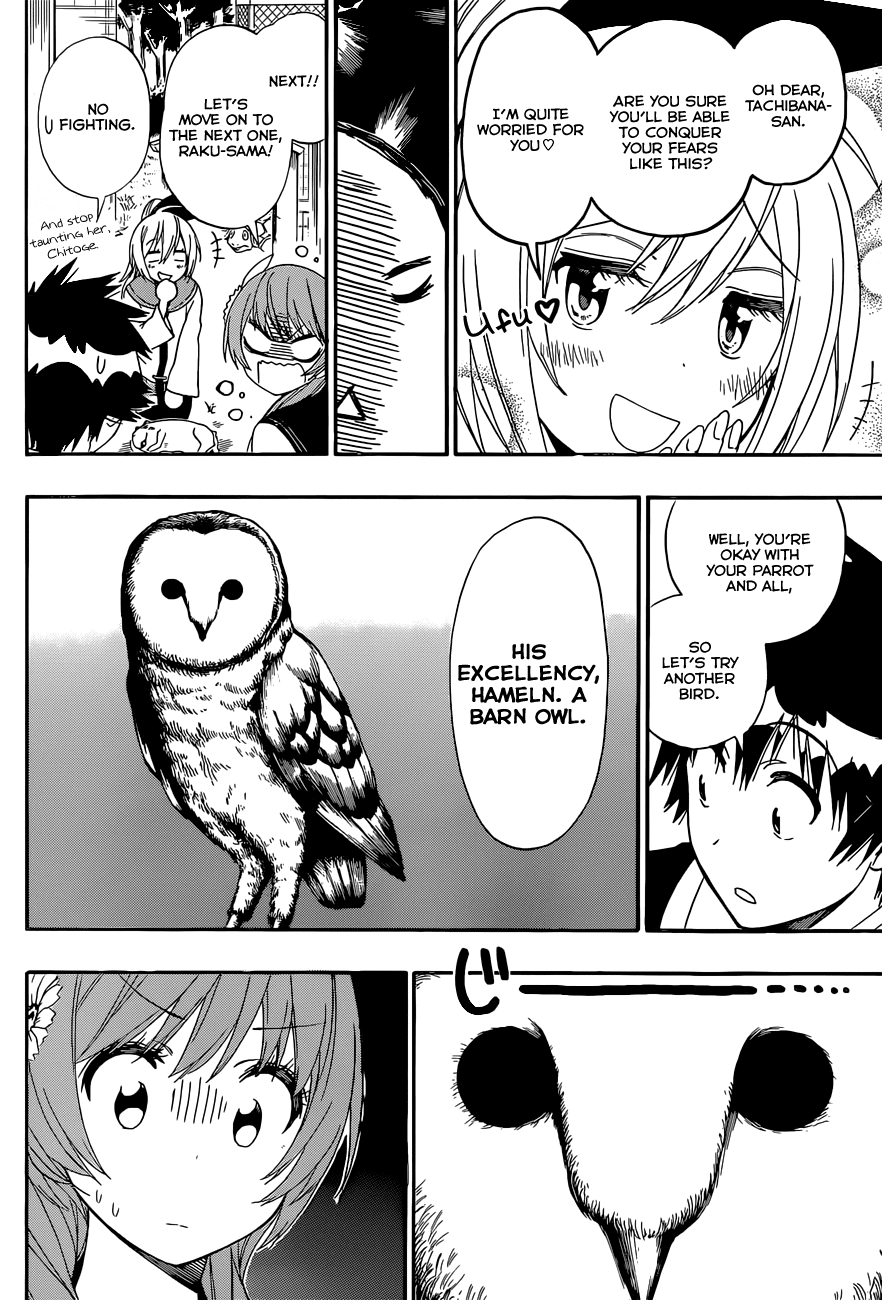 Nisekoi Chapter 142 page 9 - Chapter 142: Animal