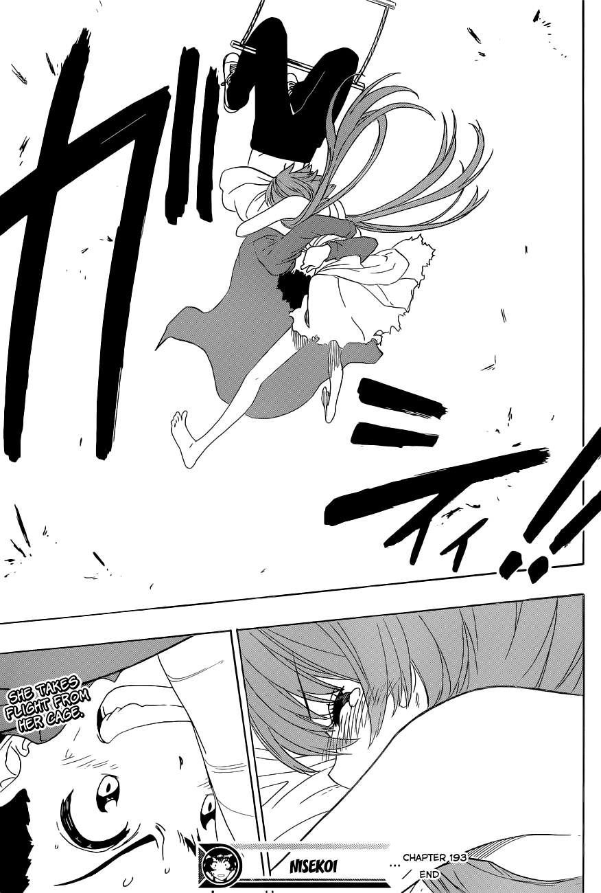 Nisekoi Chapter 193 page 19 - Chapter 193: Take Flight