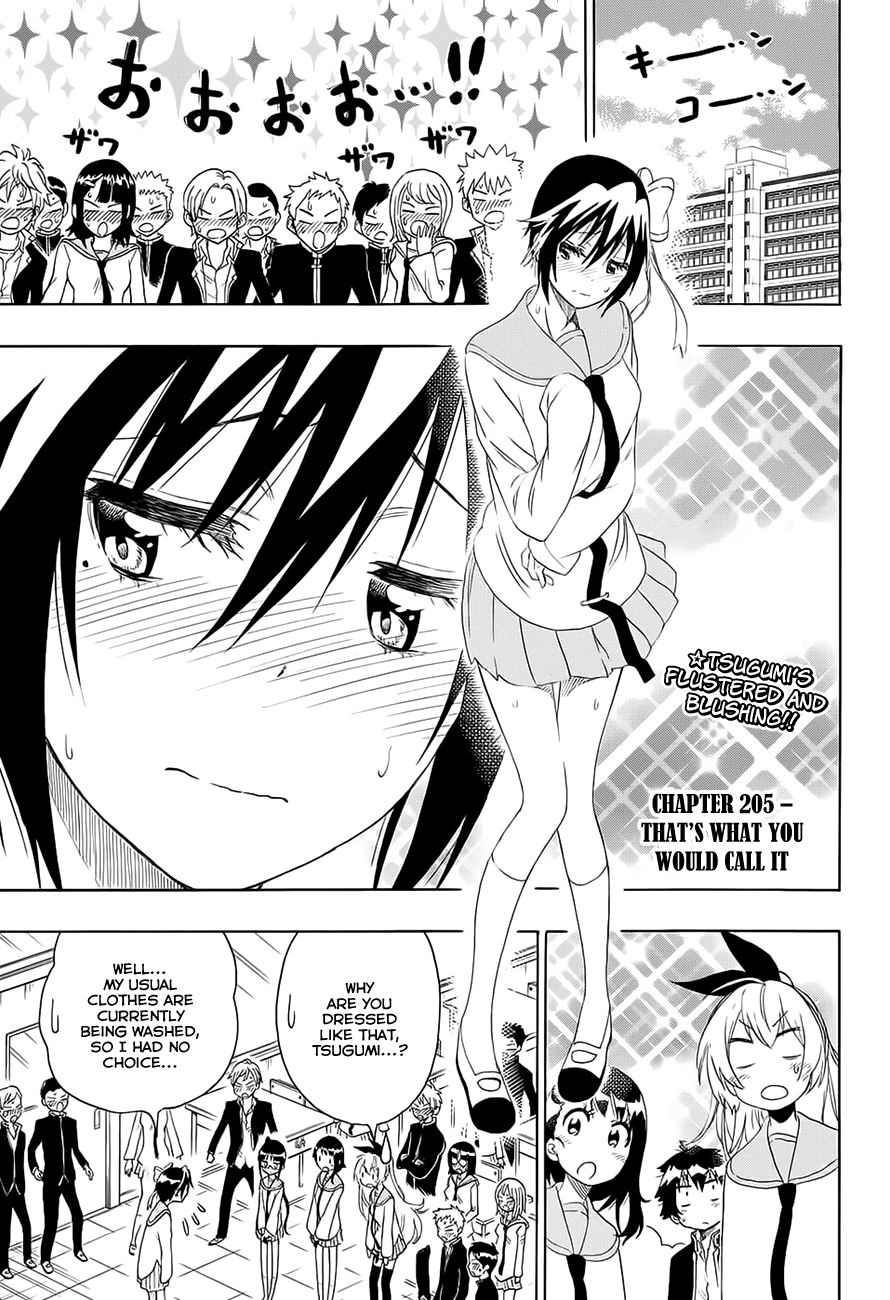 Nisekoi Chapter 205 page 2 - Chapter 205: That's What You Would Call It