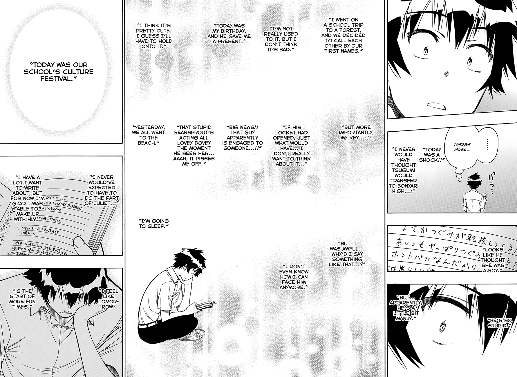 Nisekoi Chapter 213 page 15 - Chapter 213: Continuation