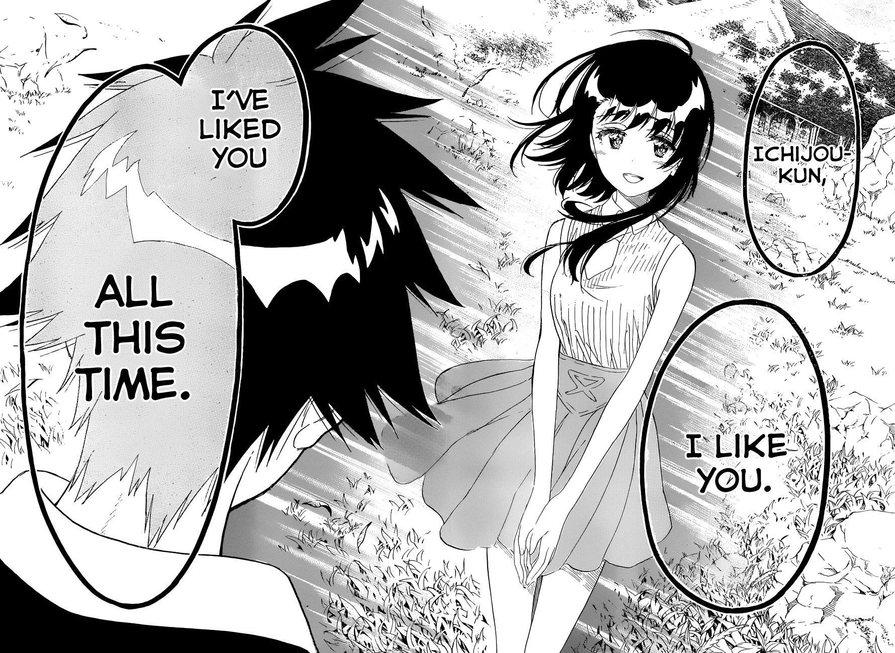 Nisekoi Chapter 225 page 11 - Chapter 225: Confession