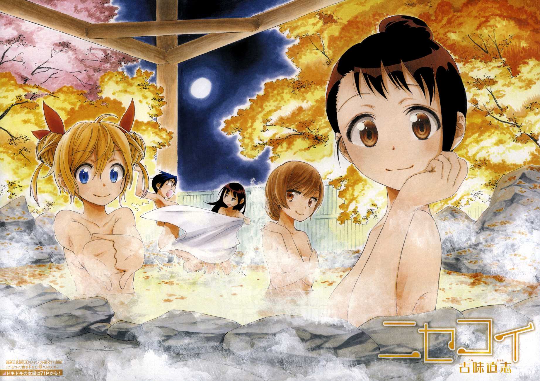 Nisekoi Chapter 45 page 2 - Chapter 45: Hazy