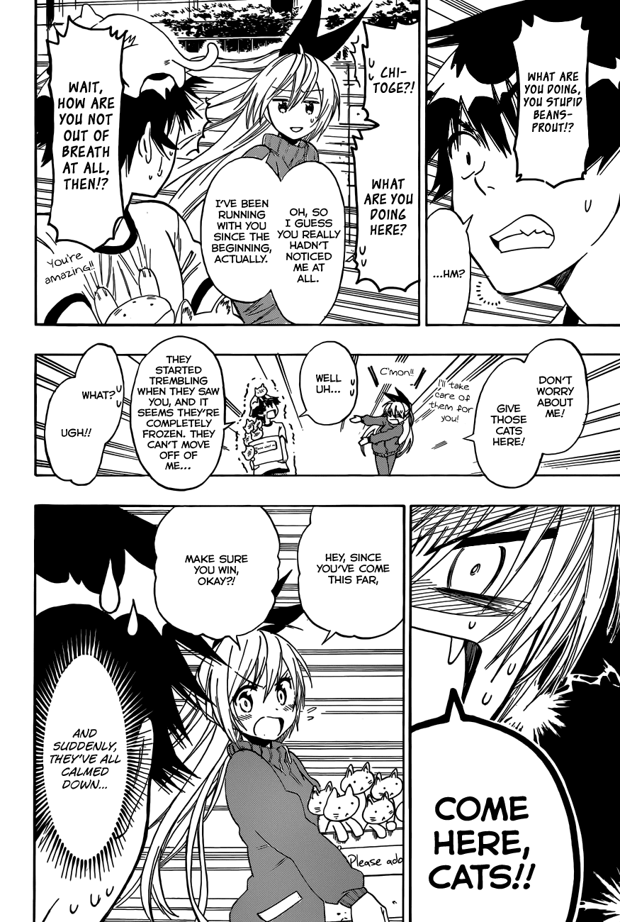Nisekoi Chapter 73 page 11 - Chapter 73: Kamikaze