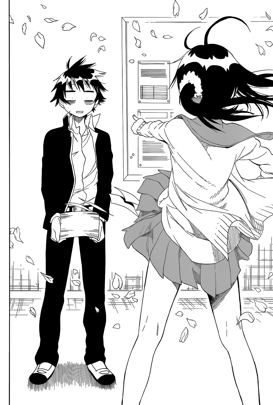 Nisekoi Chapter 75 page 17 - Chapter 75: Kamikaze