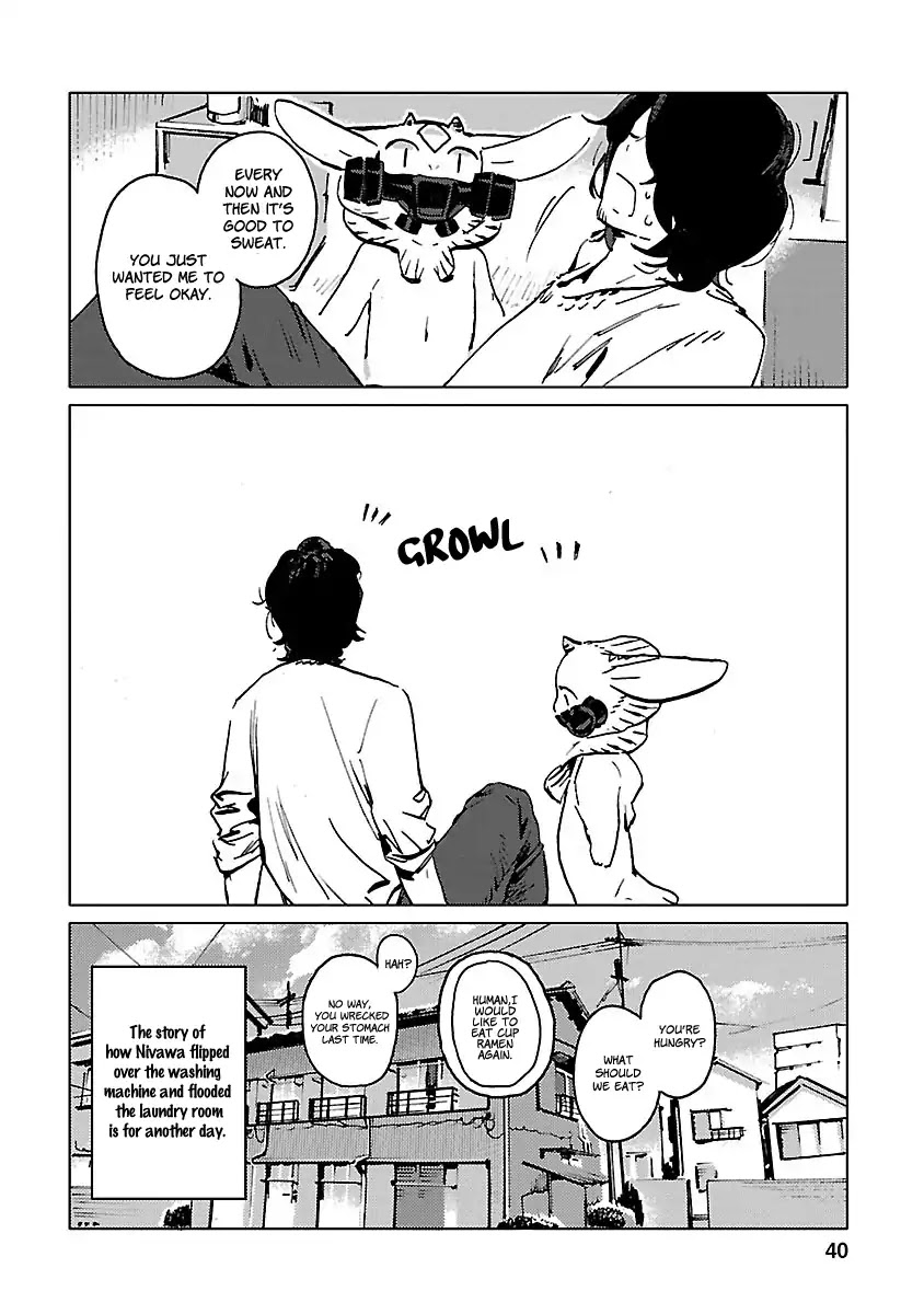 Nivawa to Saitou Chapter 2 page 17 - Chapter 2