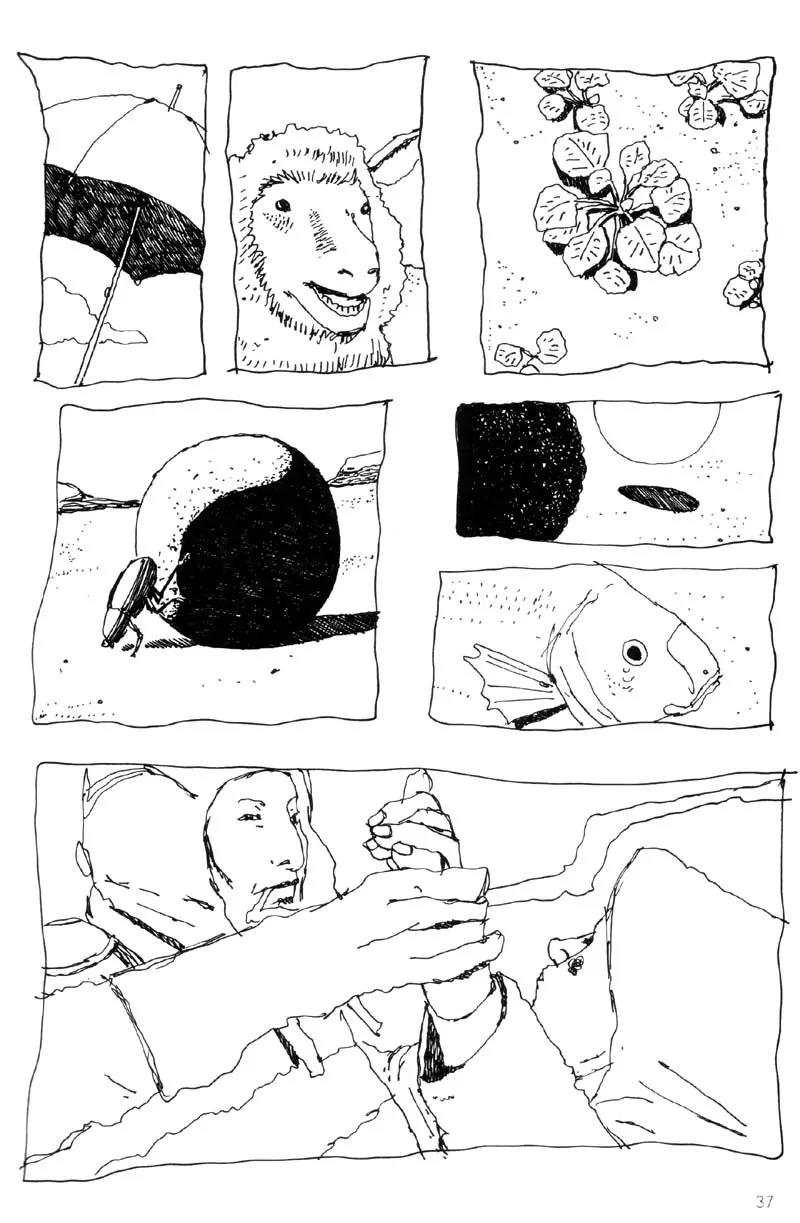 No. 5 Chapter 5 page 38 - Chapter 5