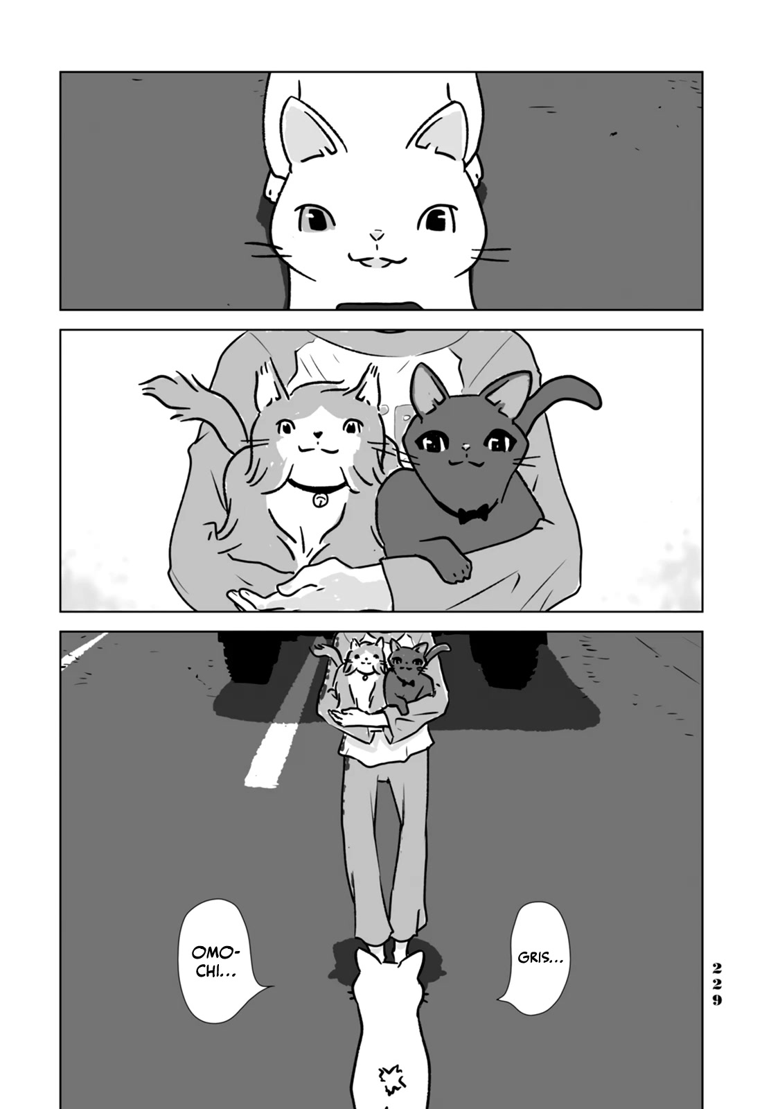 No cats were harmed in this comic. Chapter 11 page 19 - Chapter 11: We're friends! [END]