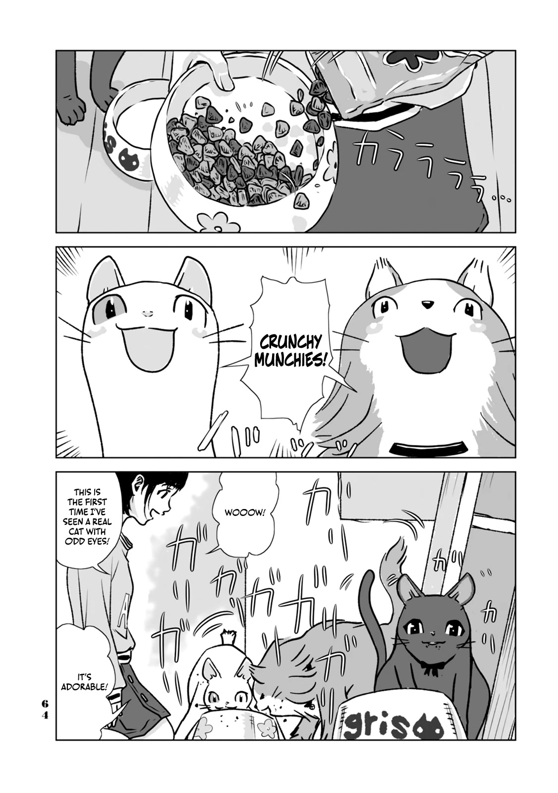 No cats were harmed in this comic. Chapter 4 page 6 - Chapter 4: That girl