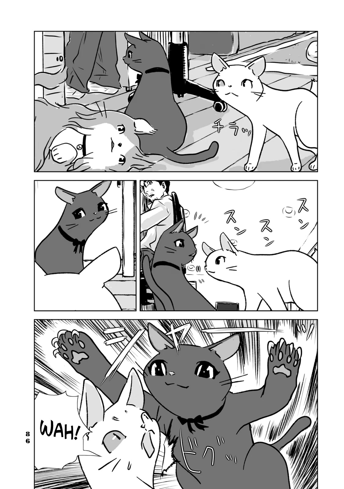 No cats were harmed in this comic. Chapter 5 page 10 - Chapter 5: Let's stay here