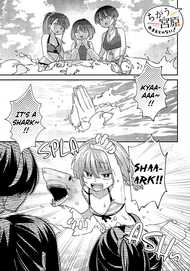 No, Miyahara, Not You! Chapter 33 page 1 - Chapter 33