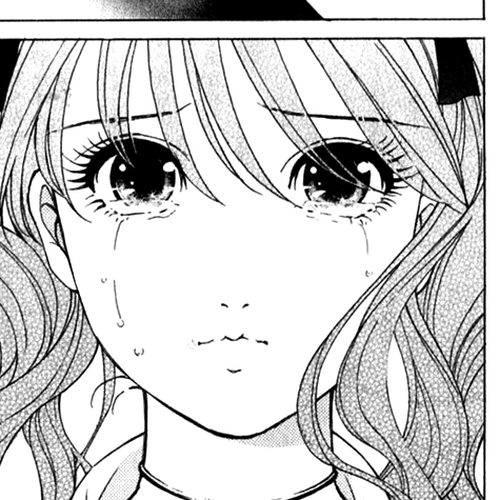Noel no Kimochi Chapter 15: Because I Like You cover