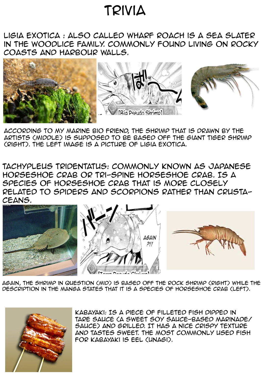 Nonbiri VRMMOki Chapter 56 page 26 - Chapter 56: Participating In A Fishing Event!
