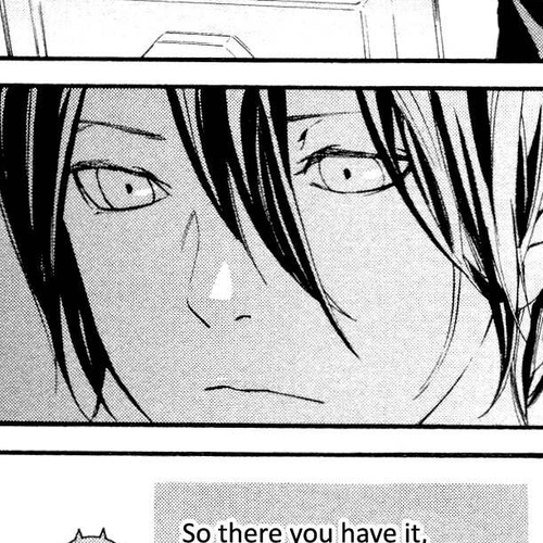 Noragami Shuuishuu Chapter 5: What Lies Beyond the Screen cover