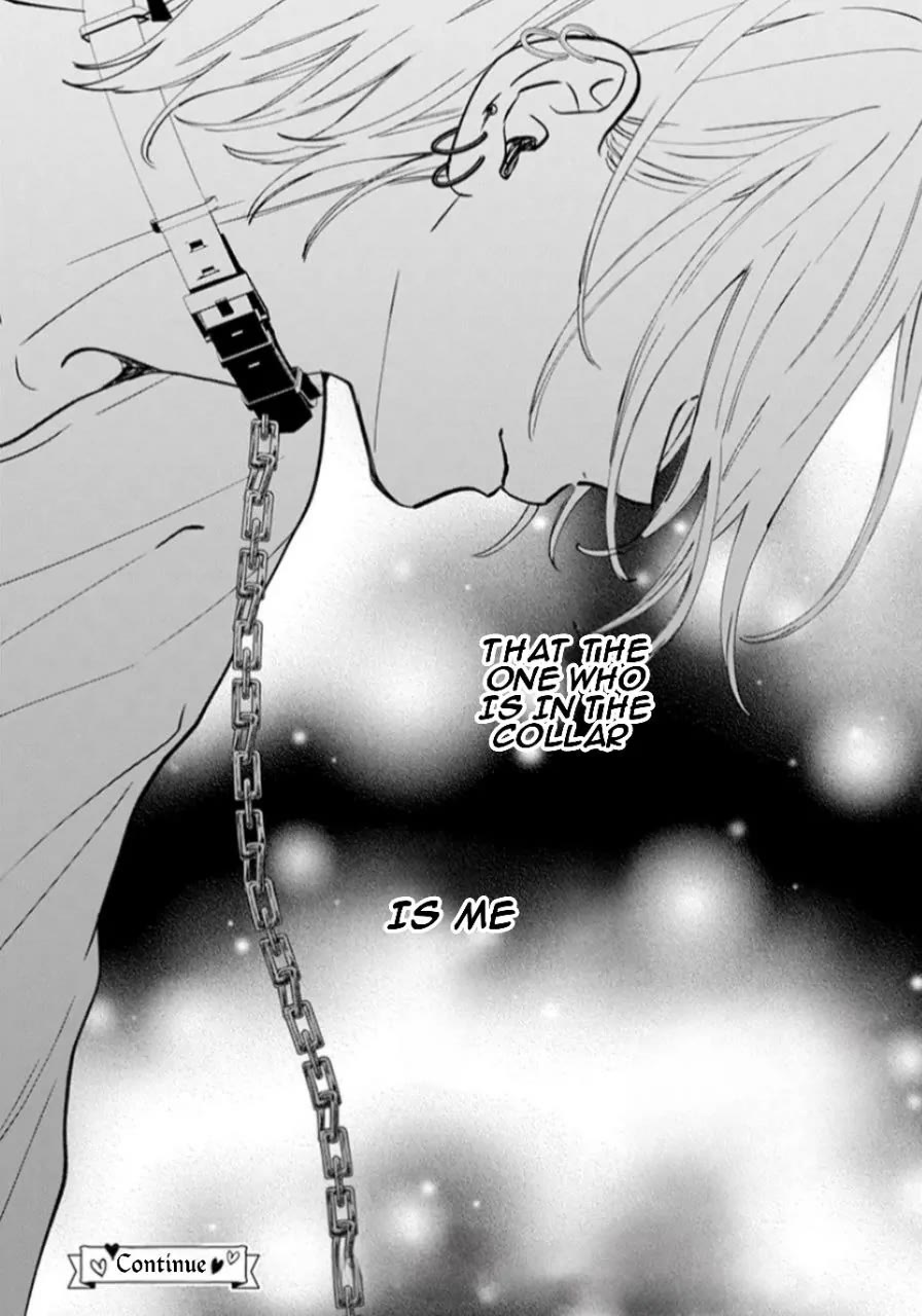 Noraneko to Ookami Chapter 17 page 41 - Chapter 17