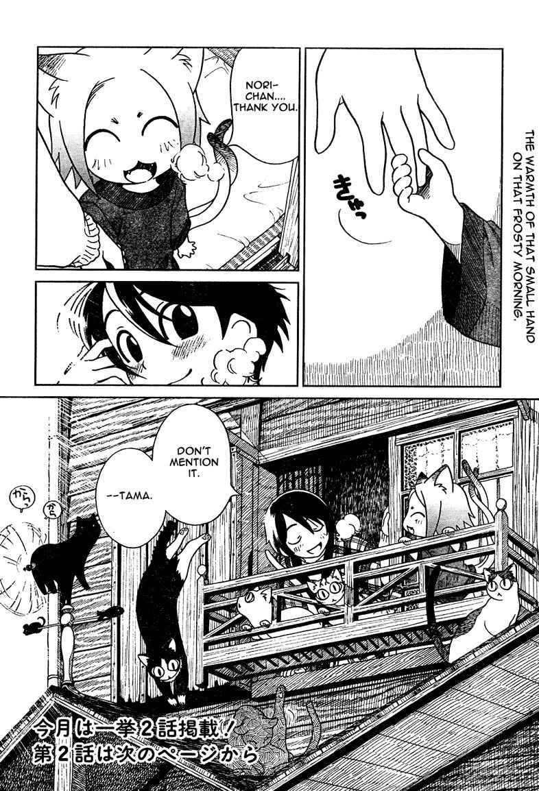 Nori Tama Chapter 1 page 17 - Chapter 1: Norie and Tama
