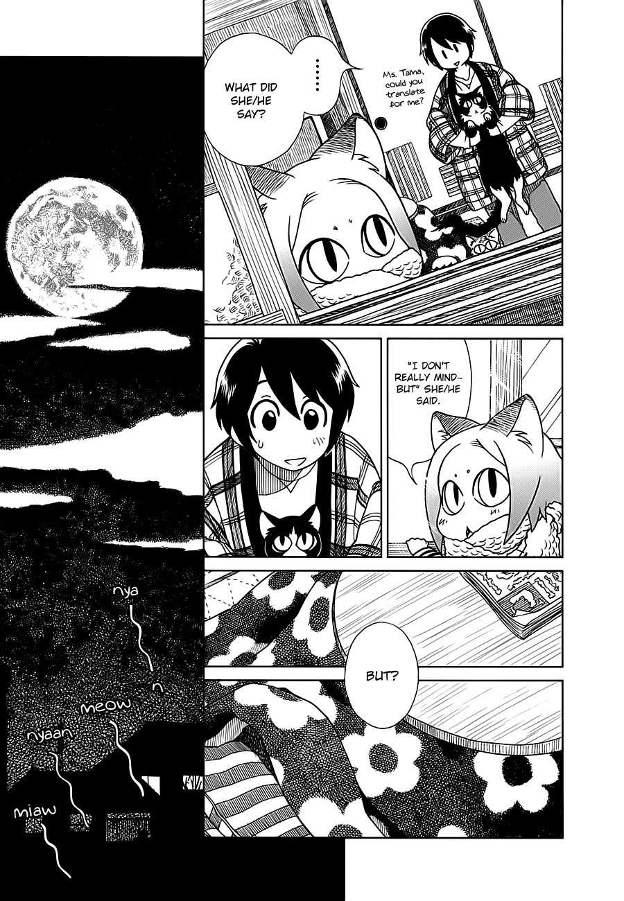 Nori Tama Chapter 4 page 12 - Chapter 4: The Night Gathering for Cats