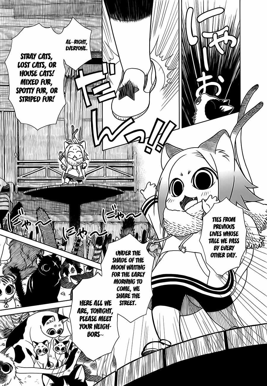 Nori Tama Chapter 4 page 14 - Chapter 4: The Night Gathering for Cats