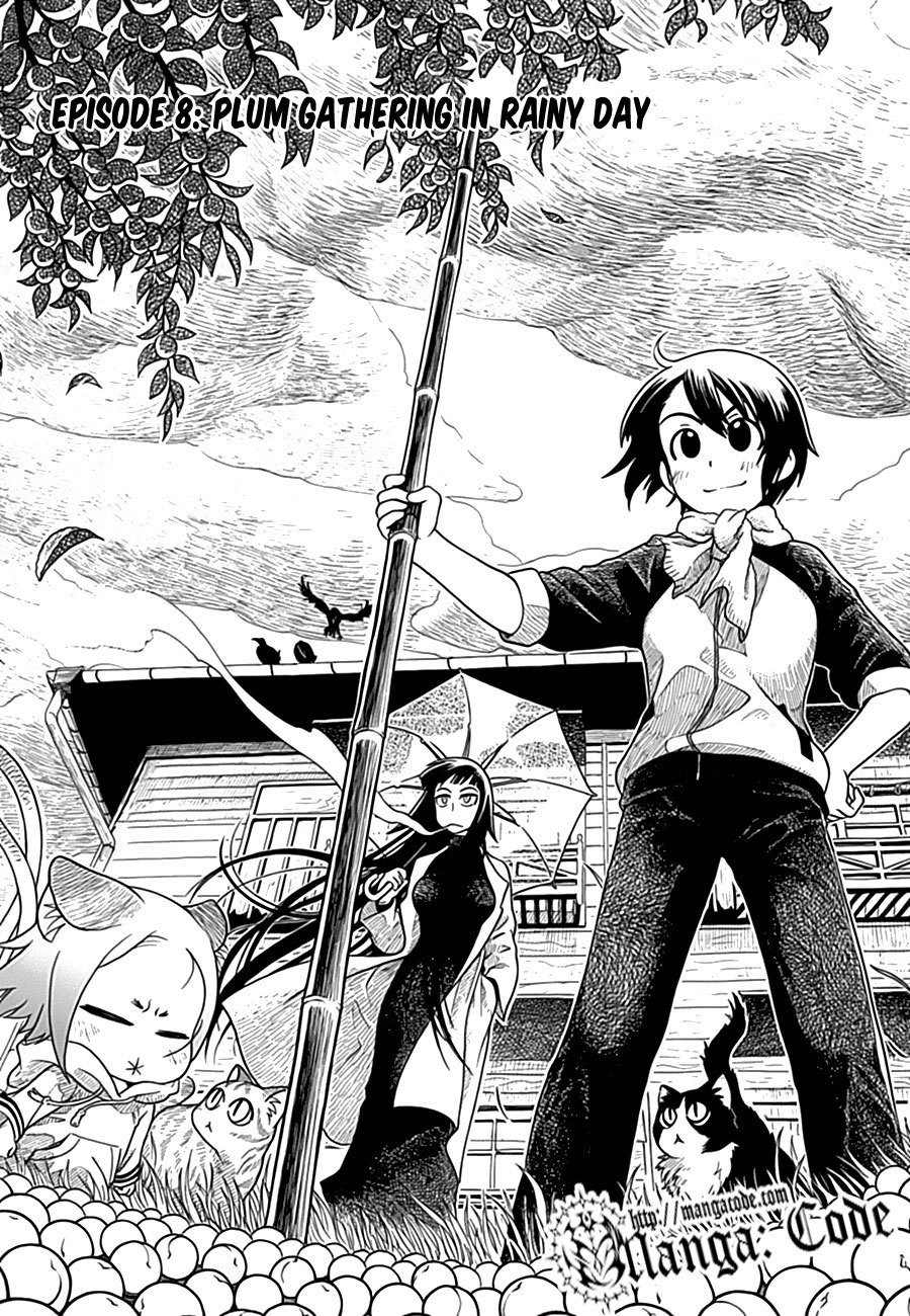 Nori Tama Chapter 8 page 2 - Chapter 8: Plum Gathering in Rainy Day