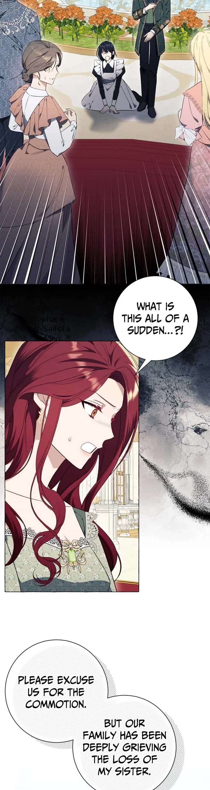 Not Your Typical Reincarnation Story Chapter 25 page 25 - Chapter 25: Episode 25