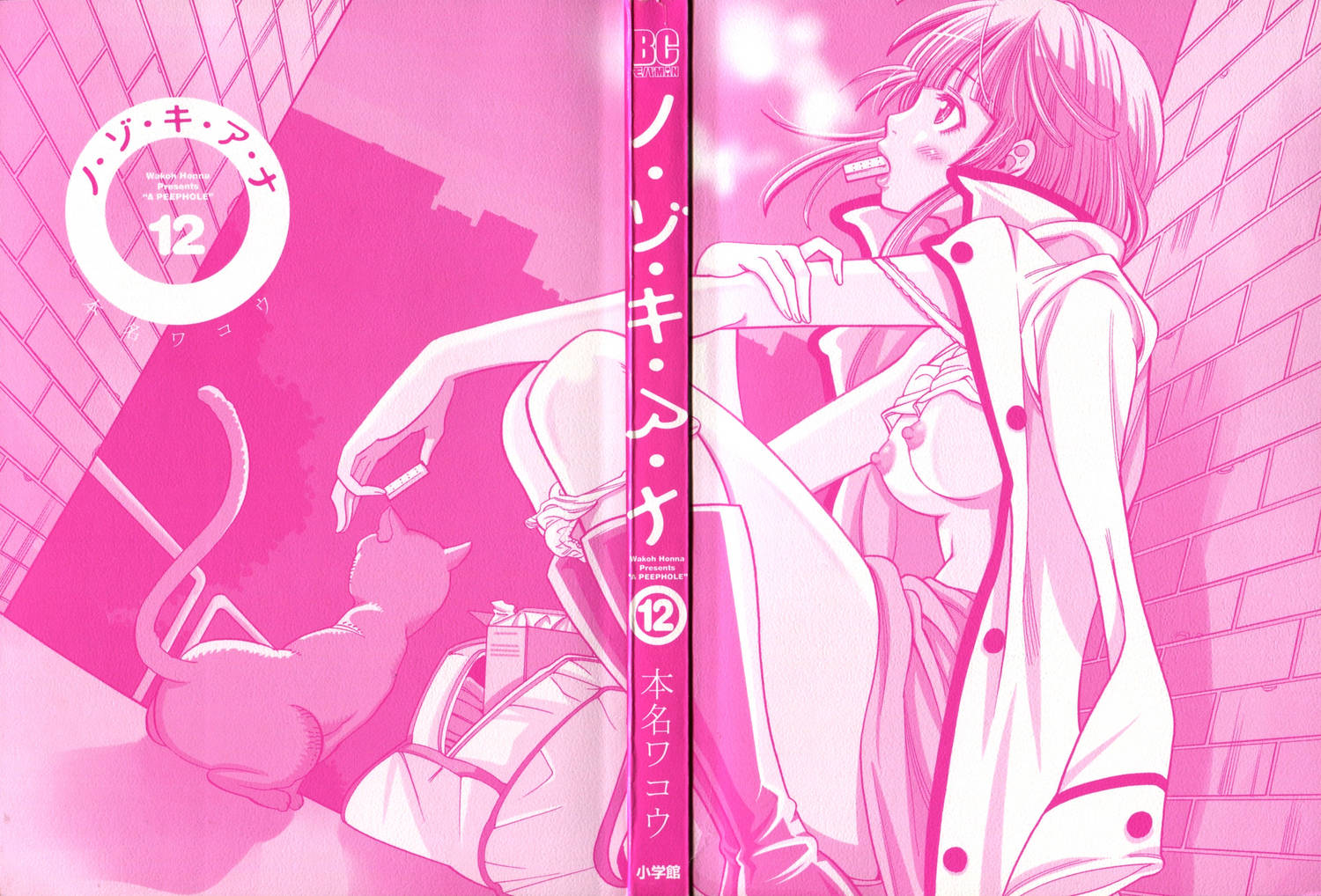 Nozoki Ana Chapter 100 page 2 - Chapter 100: 17 Years Old