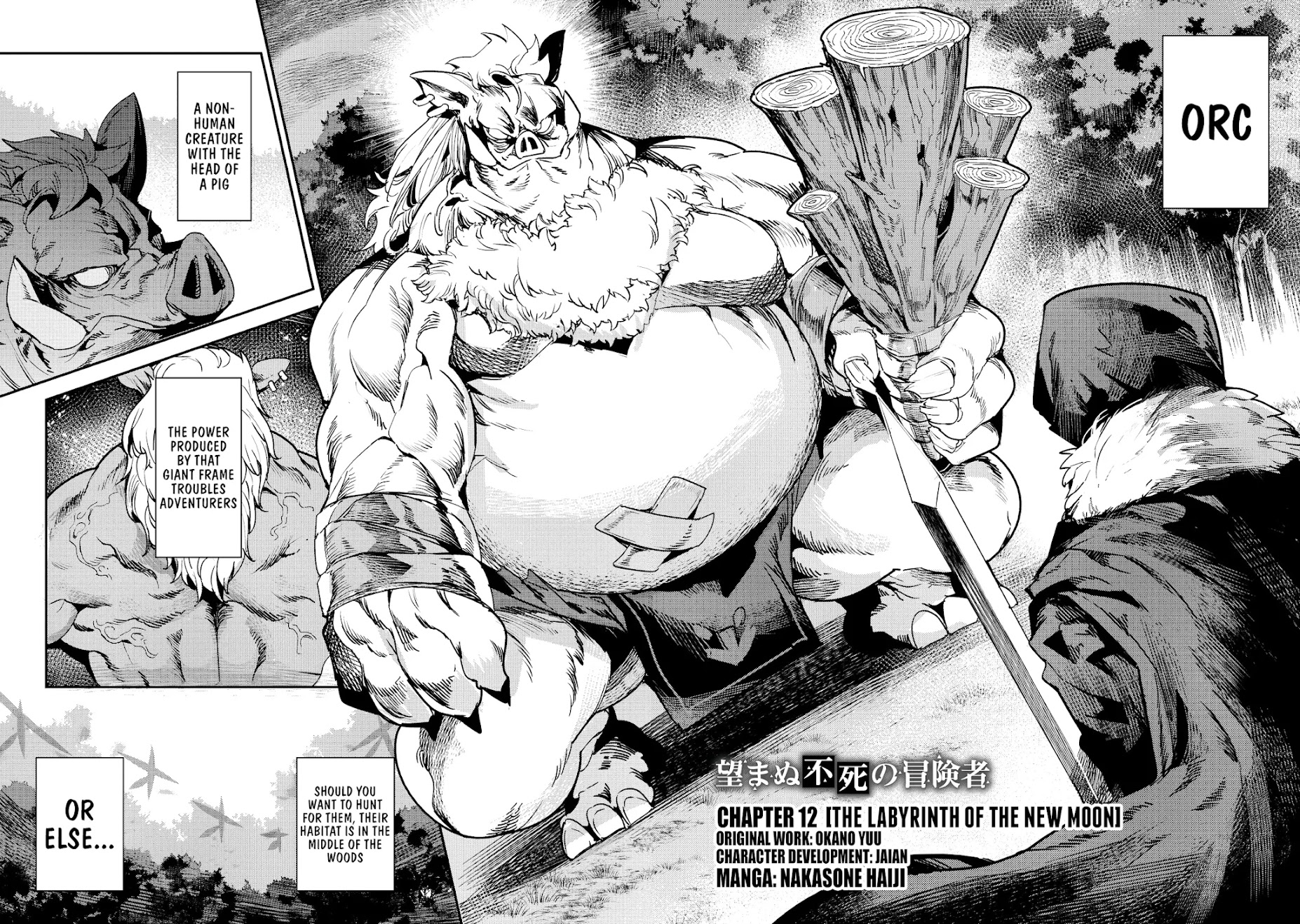 Nozomanu Fushi no Boukensha Chapter 12 page 3 - Chapter 12: The Labyrinth of the New Moon