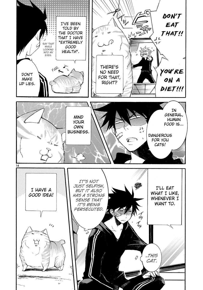 Nyankoi! Chapter 8 page 15 - Chapter 8
