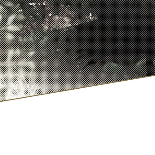 Of all things, I Became a Crow Chapter 10 cover