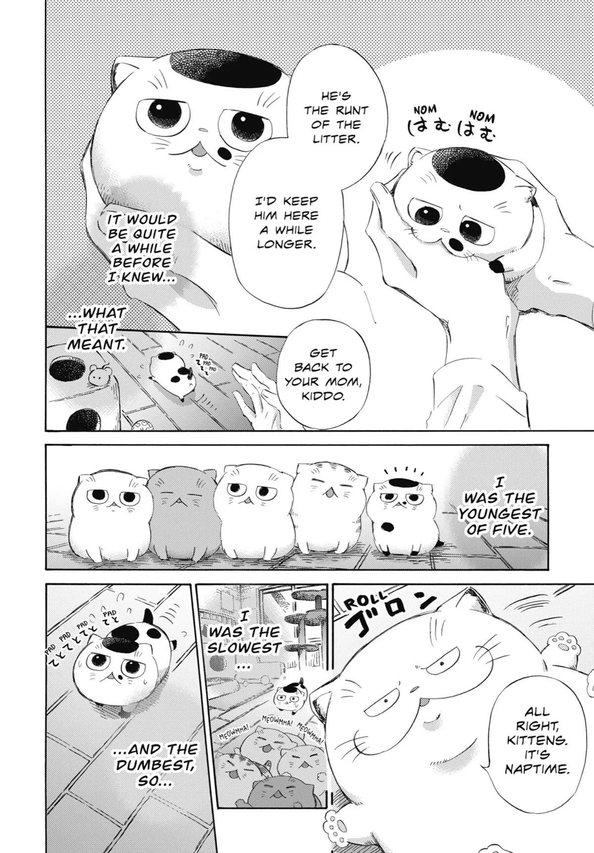 Ojisama to Neko Chapter 36.5 page 2 - Chapter 36.5: I Love Mew All