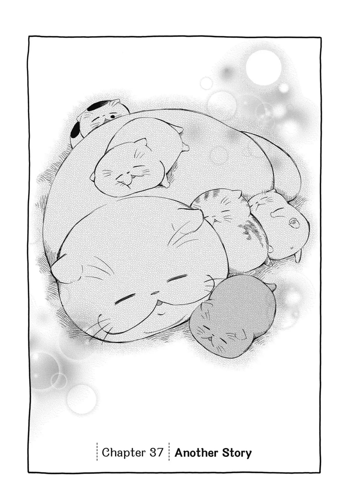 Ojisama to Neko Chapter 37 page 1 - Chapter 37: Another Story